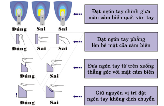 cách đặt vân tay