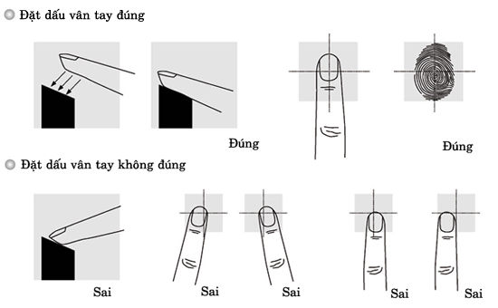cách đặt vân tay